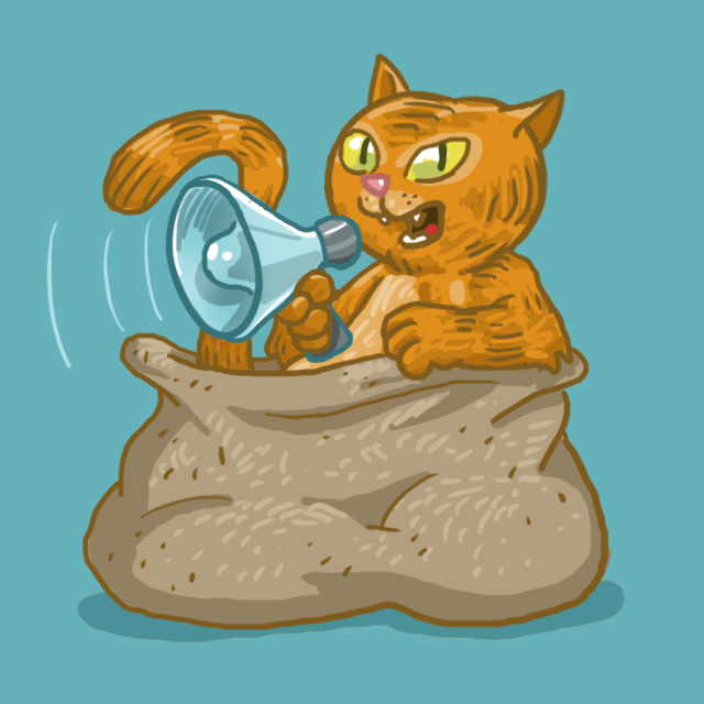 cat with megaphone in sack